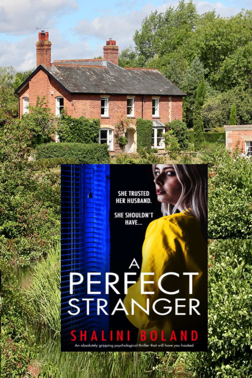 A Perfect Stranger